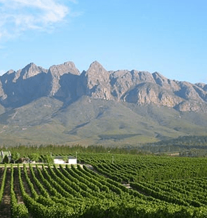 Security deployment context in Wellington, Western Cape